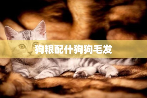 狗糧配什狗狗毛發
