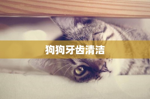 狗狗牙齒清潔