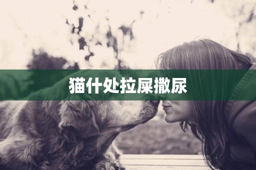 貓什處拉屎撒尿