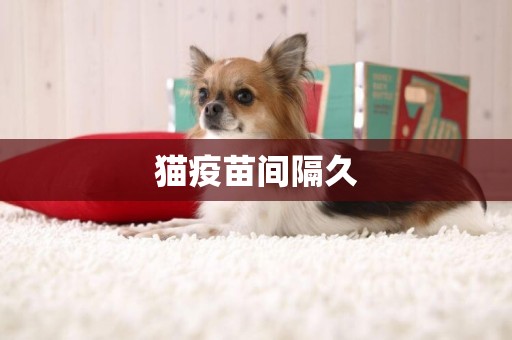 貓疫苗間隔久