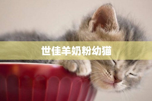 世佳羊奶粉幼貓