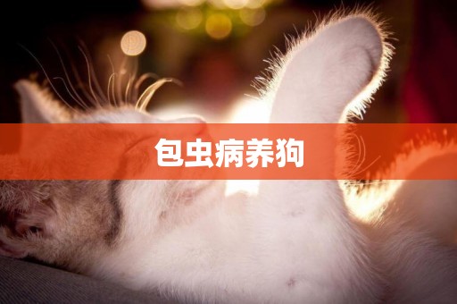 包蟲病養狗