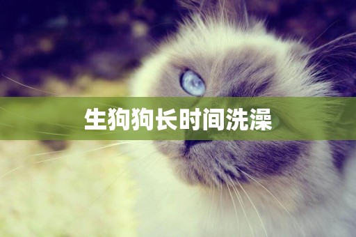 生狗狗長時間洗澡