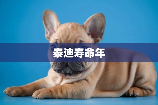 泰迪壽命年