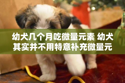 幼犬幾個月吃微量元素 幼犬其實并不用特意補充微量元素