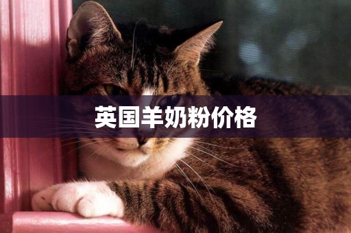 英國羊奶粉價格