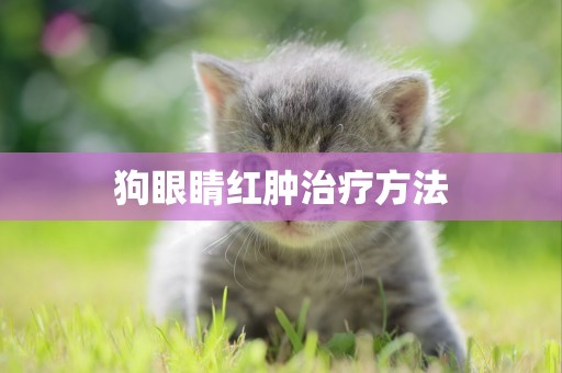 狗眼睛紅腫治療方法