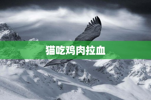 貓吃雞肉拉血