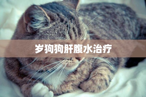 歲狗狗肝腹水治療