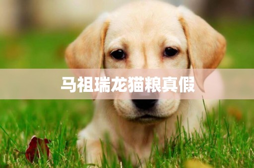 馬祖瑞龍貓糧真假