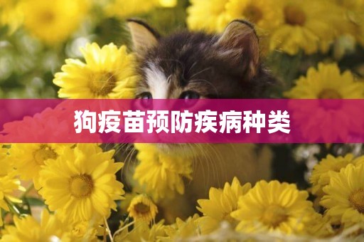 狗疫苗預防疾病種類