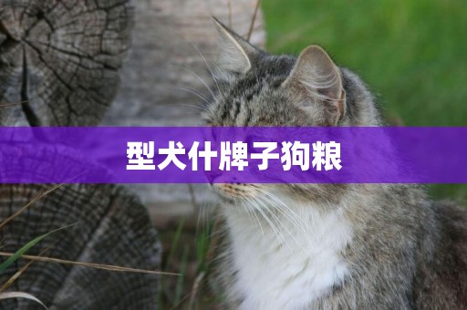 型犬什牌子狗糧
