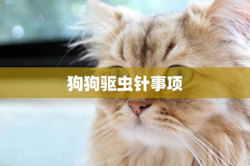 狗狗驅蟲針事項