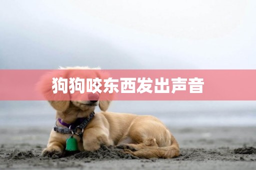 狗狗咬東西發出聲音