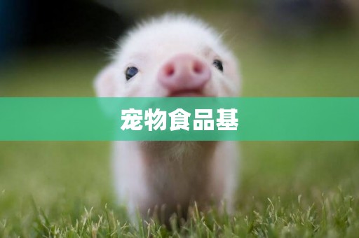 寵物食品基