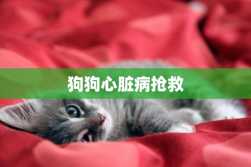 狗狗心臟病搶救
