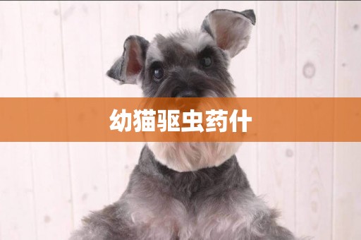 幼貓驅蟲藥什