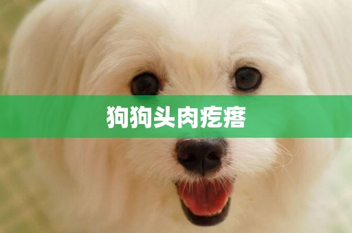 狗狗頭肉疙瘩