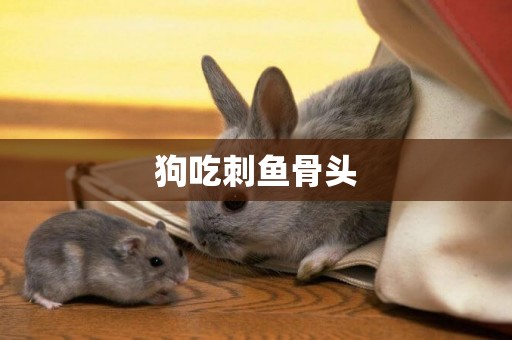 狗吃刺魚骨頭