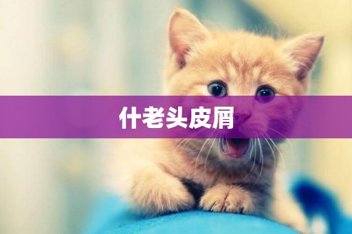 什老頭皮屑