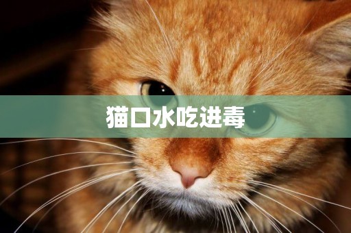 貓口水吃進毒