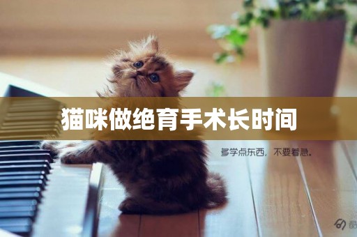 貓咪做絕育手術長時間