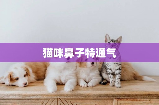 貓咪鼻子特通氣