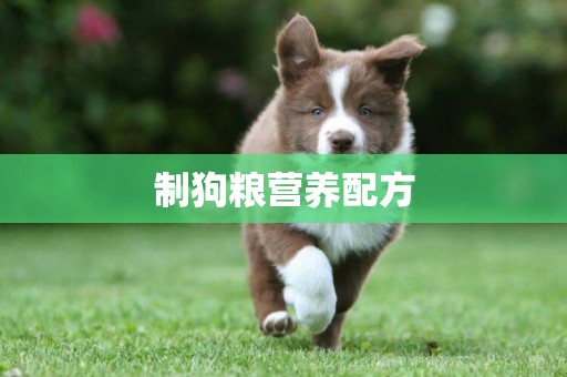 制狗糧營養配方