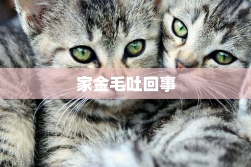 家金毛吐回事