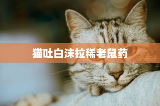 貓吐白沫拉稀老鼠藥