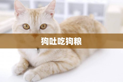 狗吐吃狗糧