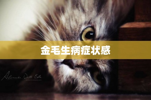 金毛生病癥狀感