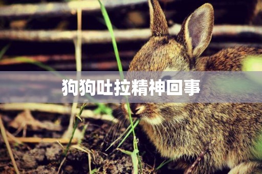 狗狗吐拉精神回事