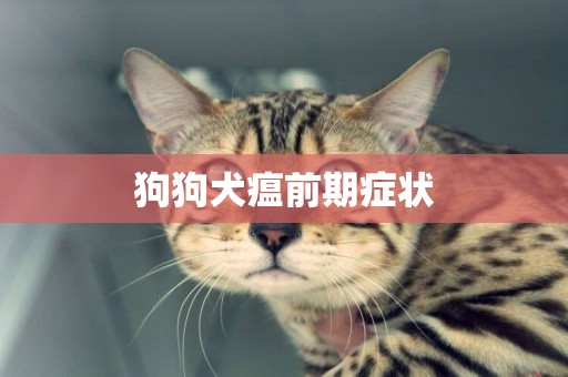狗狗犬瘟前期癥狀