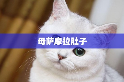 母薩摩拉肚子