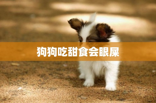狗狗吃甜食會眼屎