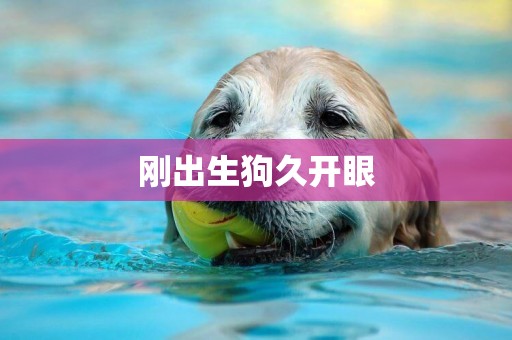 剛出生狗久開眼