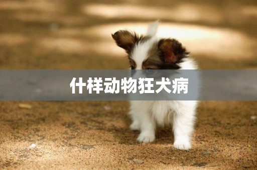 什樣動物狂犬病