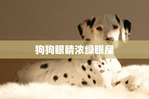 狗狗眼睛濃綠眼屎
