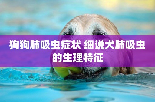 狗狗肺吸蟲癥狀 細說犬肺吸蟲的生理特征
