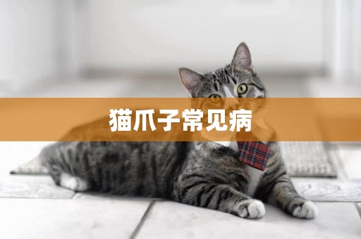 貓爪子常見病