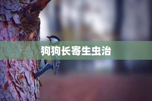 狗狗長寄生蟲治