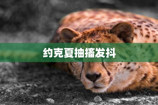 約克夏抽搐發抖