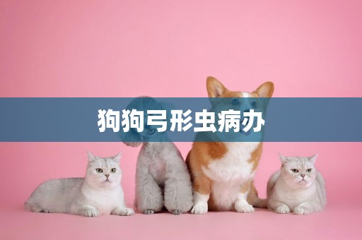 狗狗弓形蟲病辦
