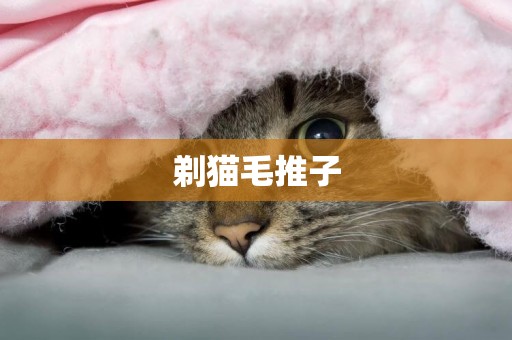 剃貓毛推子