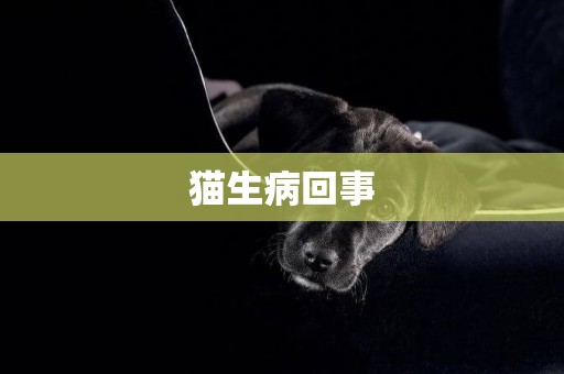 貓生病回事