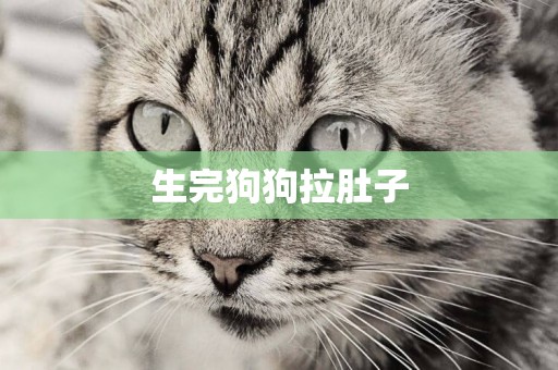 生完狗狗拉肚子