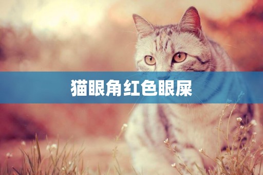 貓眼角紅色眼屎
