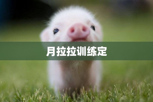 月拉拉訓練定
