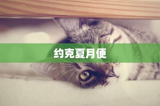 約克夏月便